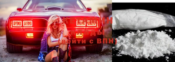 стаф Алзамай