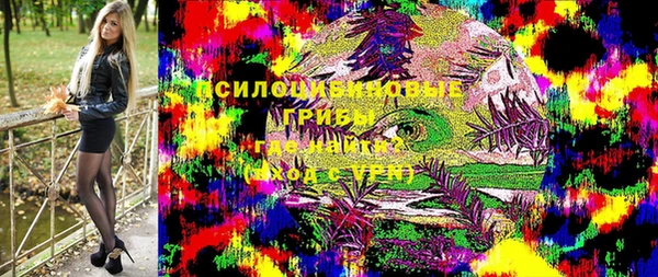 ешки Алексин