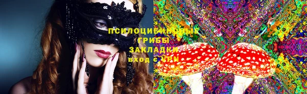 стаф Алзамай