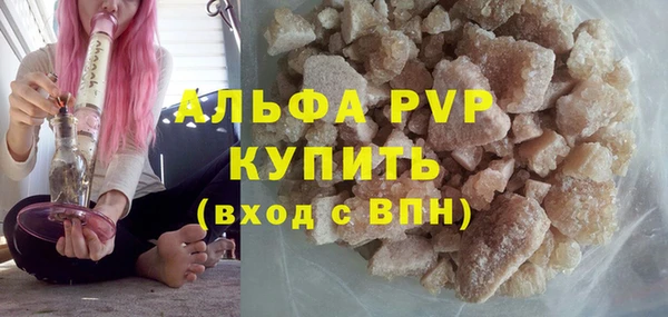 ECSTASY Покачи