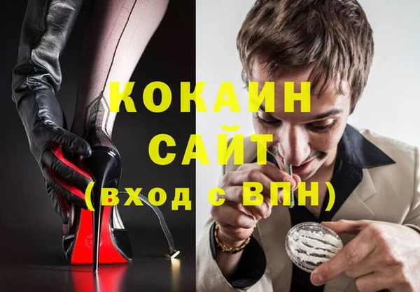 стаф Алзамай