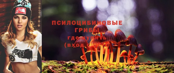 ешки Алексин