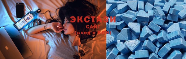 стаф Алзамай