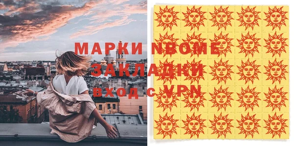стаф Алзамай