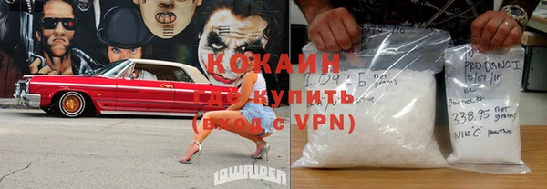 ешки Алексин