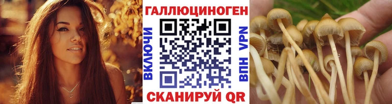 Псилоцибиновые грибы MAGIC MUSHROOMS  купить наркотики цена  Лениногорск 