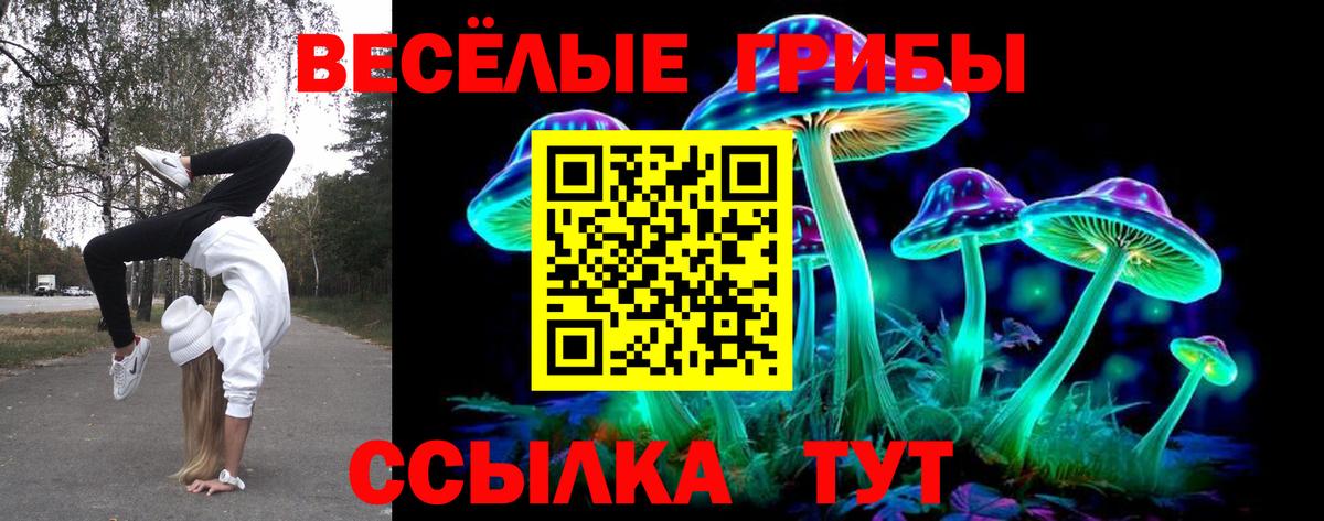 Псилоцибиновые грибы Magic Shrooms  Вход с VPN  Галлюциногенные грибы мицелий  Лениногорск 