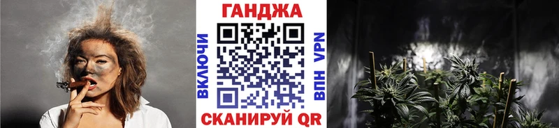Шишки марихуана гибрид  как найти наркотики  Лениногорск 